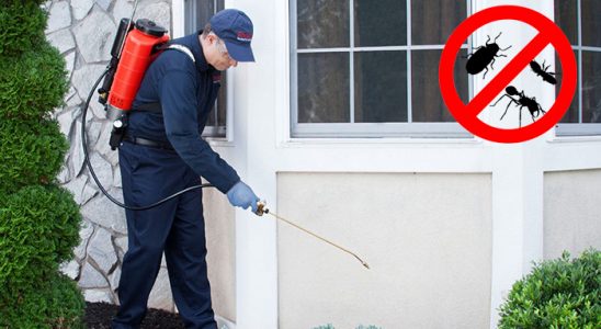 Dereli Akrep İlaçlama böcek ilaçlama ve haşere kontrolü — ilaclama-tr.com